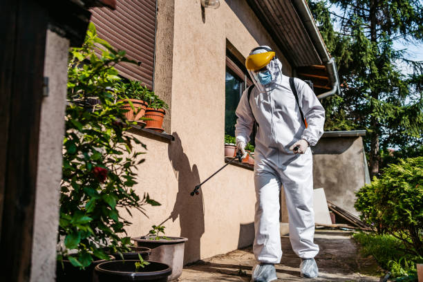Best Pest Prevention Services  in Tiger Point, FL