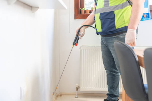 Best Termite Control Services  in Tiger Point, FL