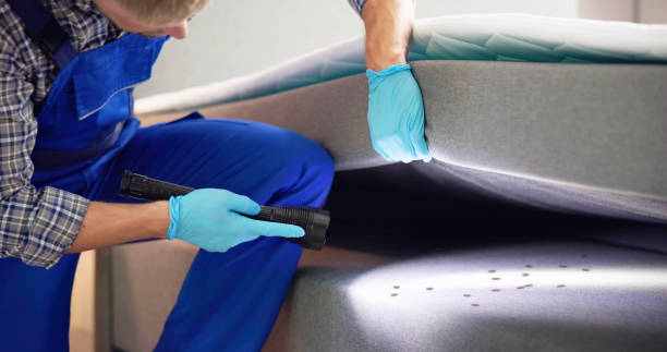 Best Emergency Pest Control  in Tiger Point, FL
