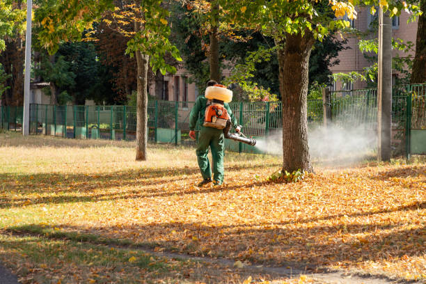 Best Pest Control Near Me in Tiger Point, FL