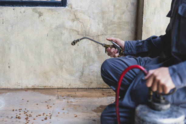 Best Pest Inspection Near Me  in Tiger Point, FL